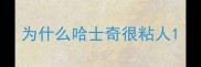 为什么哈士奇很粘人