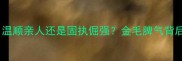 金毛犬性格温顺亲人还是固执倔强金毛脾气背后的科学真相