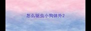 怎么驱虫小狗体外