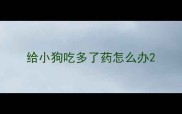 给小狗吃多了药怎么办