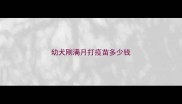 幼犬刚满月打疫苗多少钱