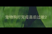 宠物狗打完疫苗后过敏