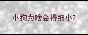 小狗为啥会得细小