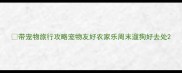 带宠物旅行攻略宠物友好农家乐周末遛狗好去处