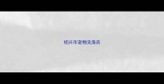 绍兴市宠物洗澡店