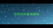 边牧幼犬发烧呕吐