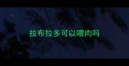 拉布拉多可以喂肉吗