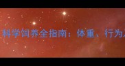 3个月豚鼠多大科学饲养全指南体重行为及健康养护要点