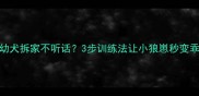 哈士奇幼犬拆家不听话3步训练法让小狼崽秒变乖宝宝