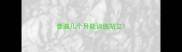 泰迪几个月能训练站立