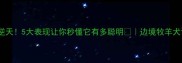 边牧智商逆天5大表现让你秒懂它有多聪明边境牧羊犬训练全攻略