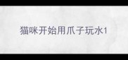 猫咪开始用爪子玩水