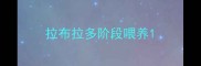 拉布拉多阶段喂养