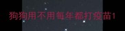 狗狗用不用每年都打疫苗