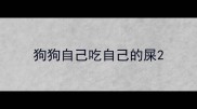 狗狗自己吃自己的屎