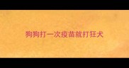狗狗打一次疫苗就打狂犬