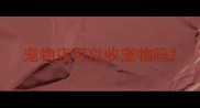 宠物店可以收宠物吗