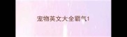 宠物英文大全霸气