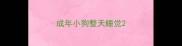 成年小狗整天睡觉
