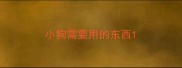 小狗需要用的东西