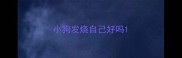 小狗发烧自己好吗