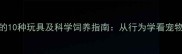 狗狗最爱的10种玩具及科学饲养指南从行为学看宠物用品选择