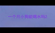 一个月小狗能喝水吗