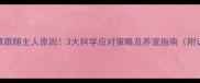 泰迪犬频繁跟随主人原因3大科学应对策略及养宠指南附训练技巧