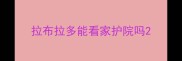 拉布拉多能看家护院吗