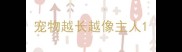宠物越长越像主人