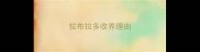 拉布拉多收养理由