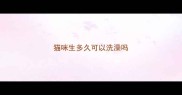 猫咪生多久可以洗澡吗