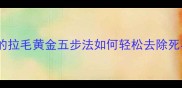 长毛犬必看宠物美容师私藏的拉毛黄金五步法如何轻松去除死毛不伤皮肤附工具选购指南