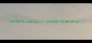 狗狗感冒无人看护怎么办这份居家护理指南请收好