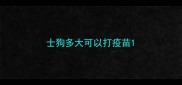 士狗多大可以打疫苗