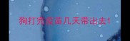 狗打完疫苗几天带出去