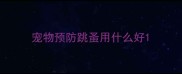宠物预防跳蚤用什么好