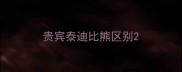 贵宾泰迪比熊区别