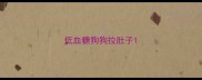 低血糖狗狗拉肚子