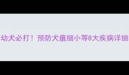 狗狗疫苗全攻略幼犬必打预防犬瘟细小等8大疾病详细附疫苗时间表