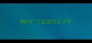 狗狗打了疫苗后肚子叫