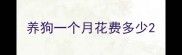 养狗一个月花费多少