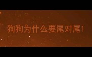 狗狗为什么要尾对尾