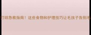 金毛毛发打结急救指南这些食物和护理技巧让毛孩子告别毛结困扰