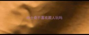 哈士奇不喜欢跟人玩吗