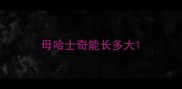 母哈士奇能长多大