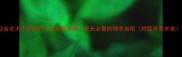 幼金毛犬不能吃的10大危险食物家长必看的喂养指南附营养需求表