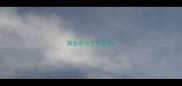 黄金眼哈士奇多钱