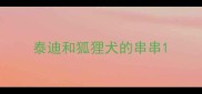 泰迪和狐狸犬的串串