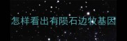 怎样看出有陨石边牧基因
